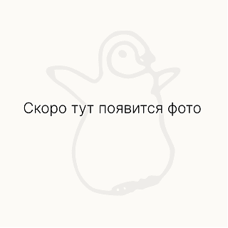 Шорты terry авокадо