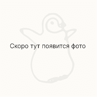 Кюлоты terry шоколад